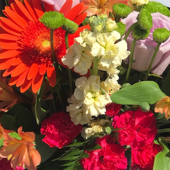 Meet your Posher, Olympia - Picture 1 of 1